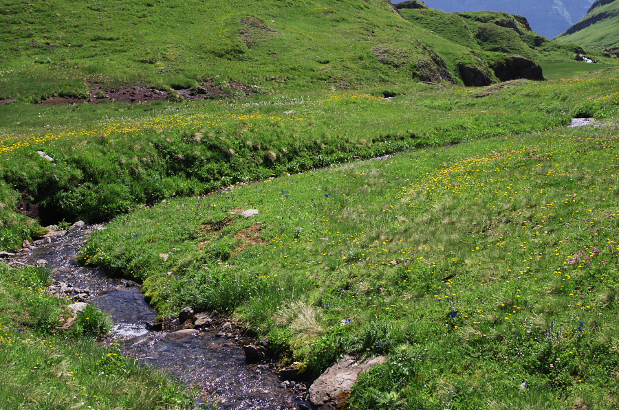 IMGP0200.jpg(643727 byte)