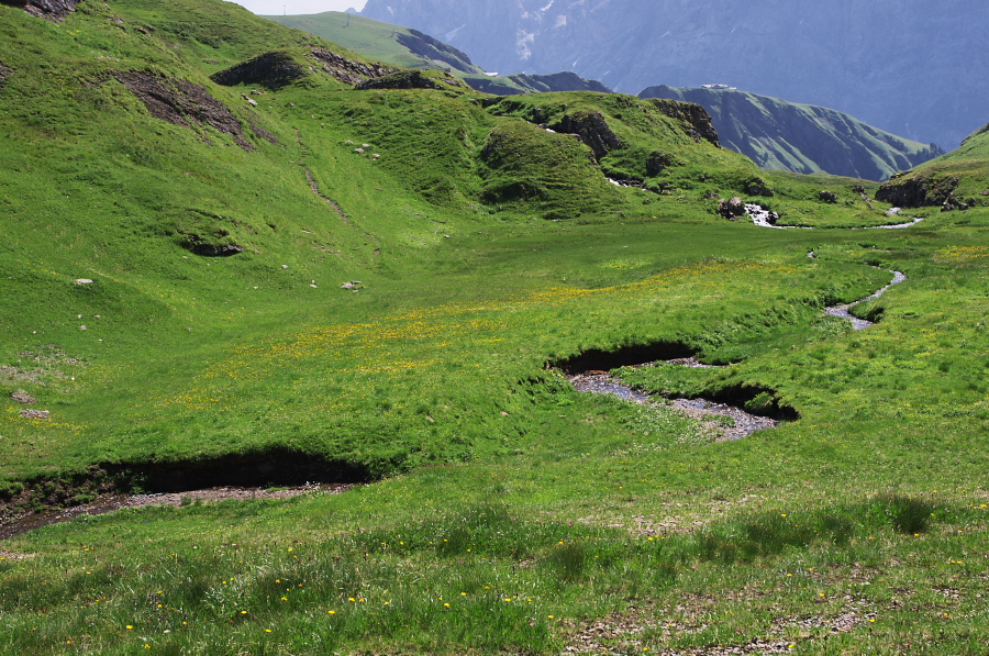 IMGP0207.jpg(532606 byte)