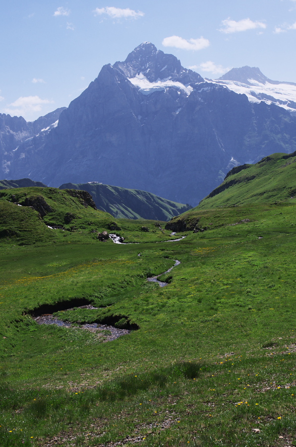 IMGP0211.jpg(384215 byte)