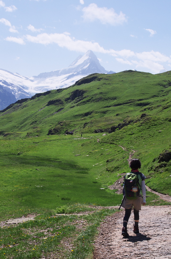 IMGP0215.jpg(392374 byte)