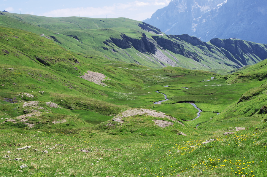 IMGP0227_1.jpg(503972 byte)