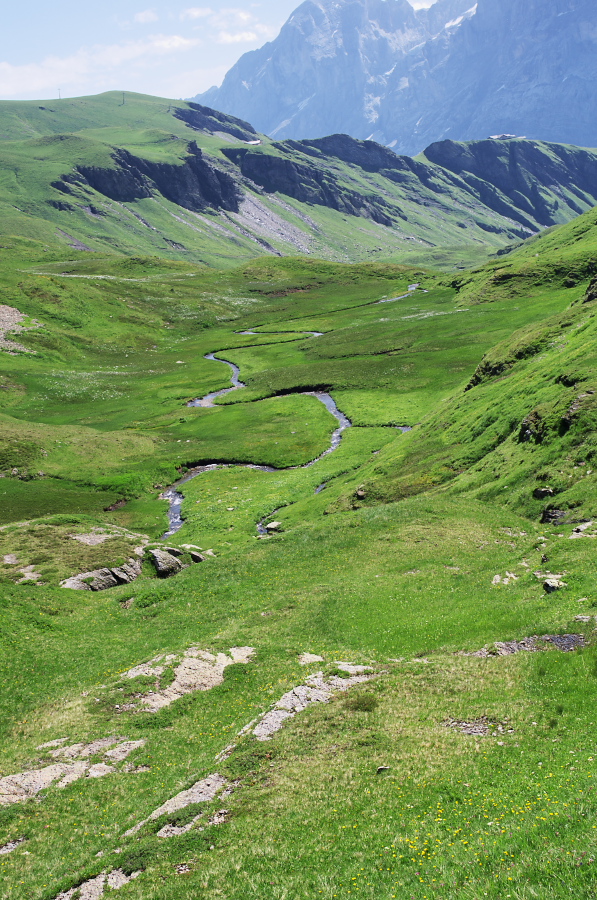 IMGP0230_1.jpg(515908 byte)