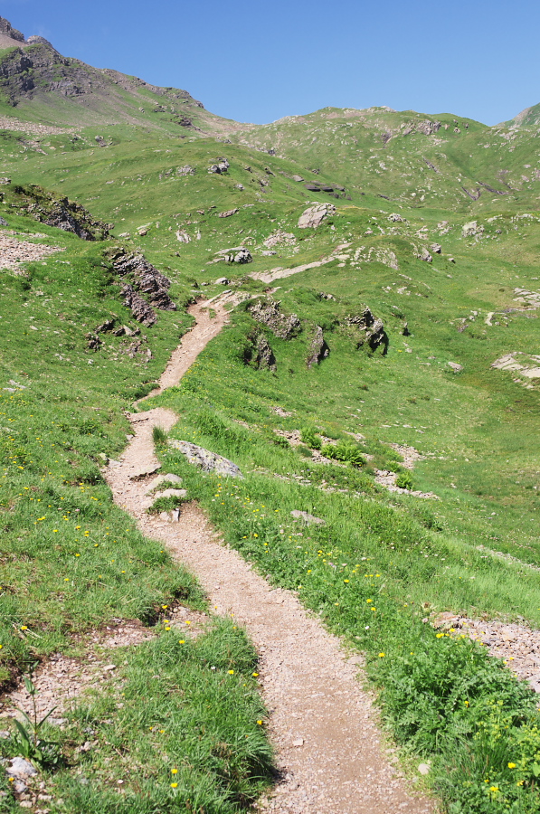 IMGP0235.jpg(547374 byte)