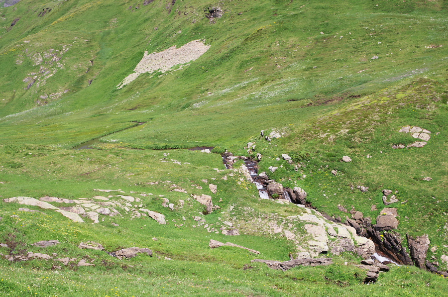 IMGP0241.jpg(549616 byte)