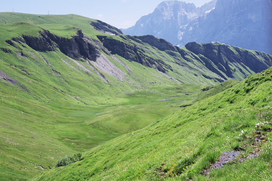 IMGP0244.jpg(474811 byte)