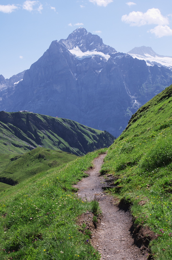 IMGP0247.jpg(416204 byte)