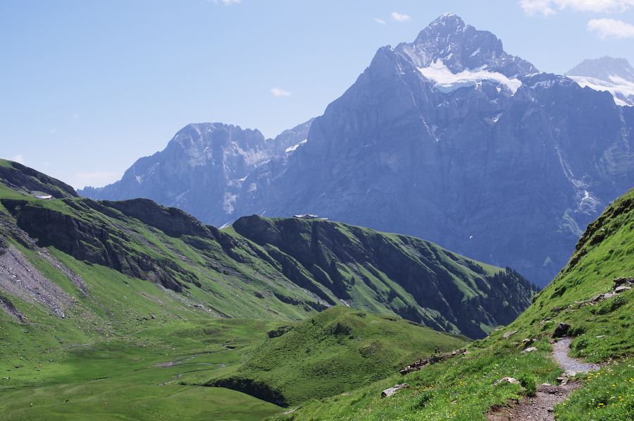 IMGP0254.jpg(338185 byte)