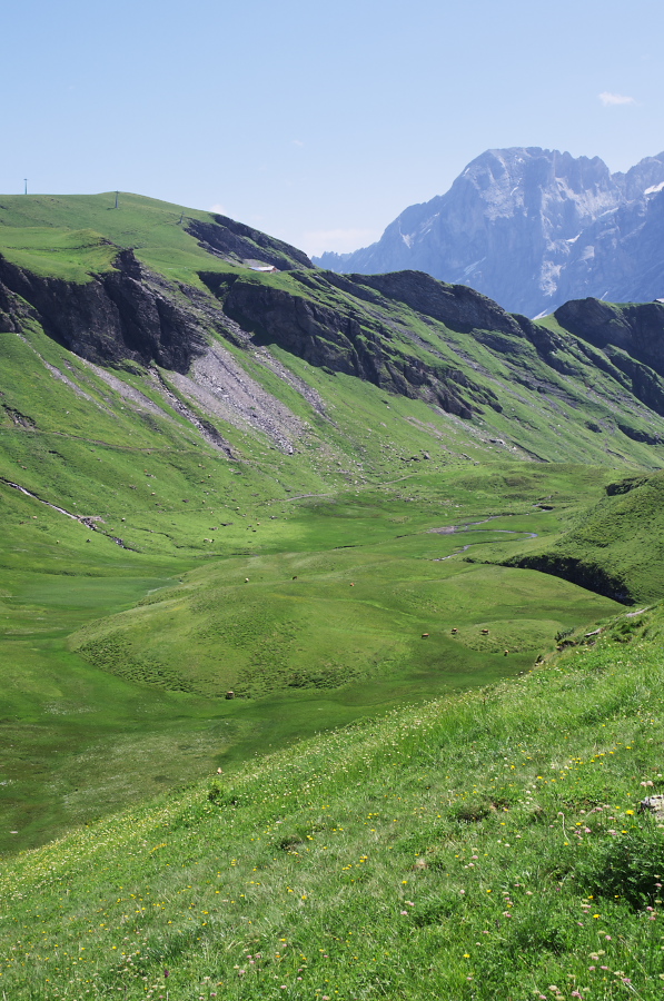 IMGP0259.jpg(424562 byte)