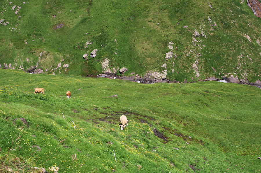 IMGP0263.jpg(562028 byte)