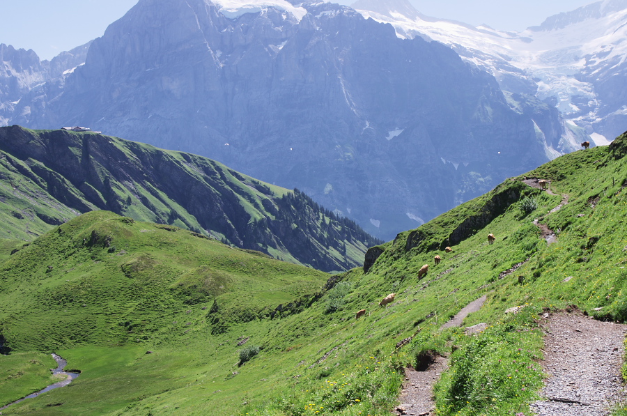 IMGP0272.jpg(437033 byte)