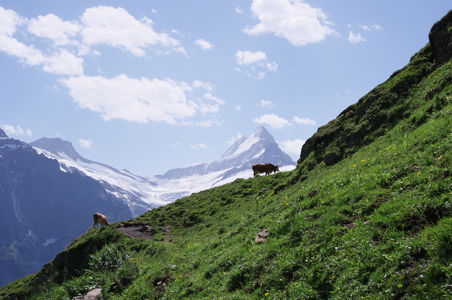 IMGP0275.jpg(372875 byte)