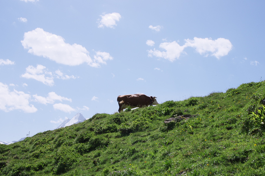 IMGP0277.jpg(318933 byte)