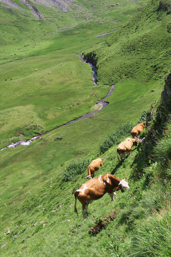 IMGP0278.jpg(537093 byte)