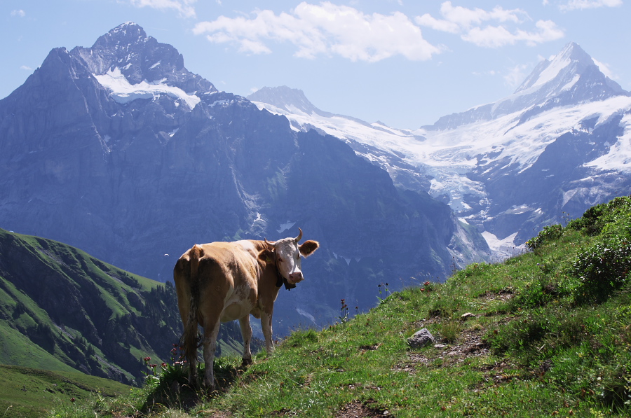 IMGP0281.jpg(362996 byte)