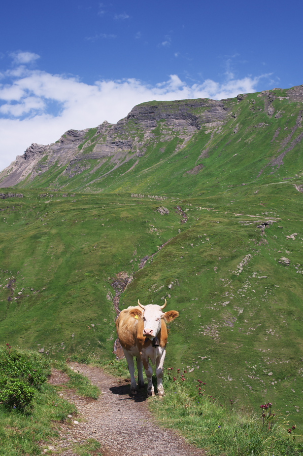 IMGP0282.jpg(400399 byte)