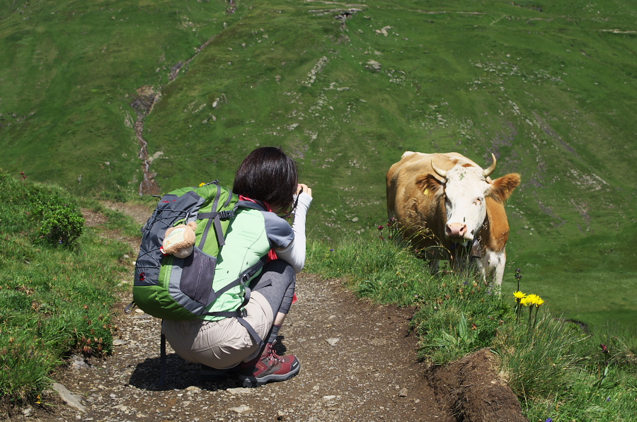 IMGP0289.jpg(440174 byte)