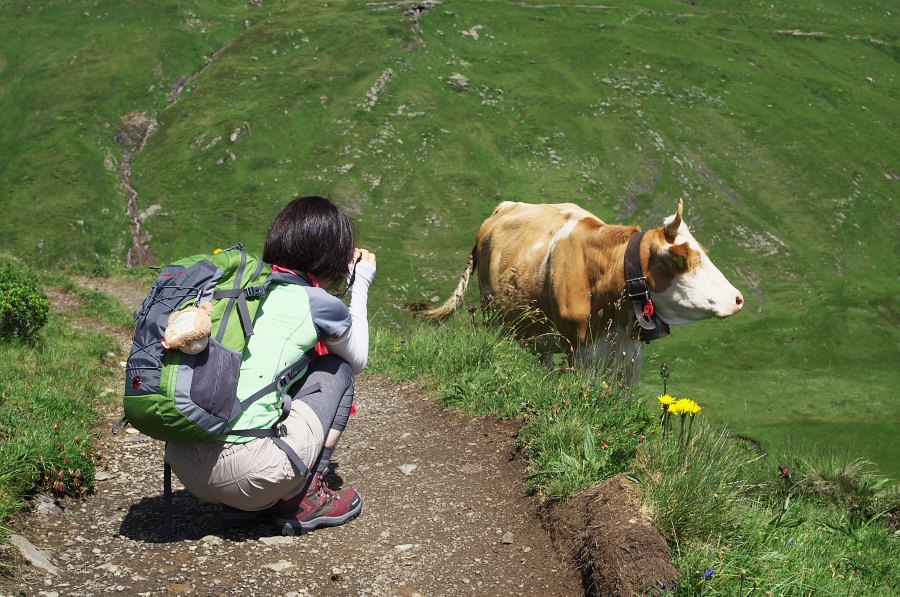 IMGP0290.jpg(452541 byte)