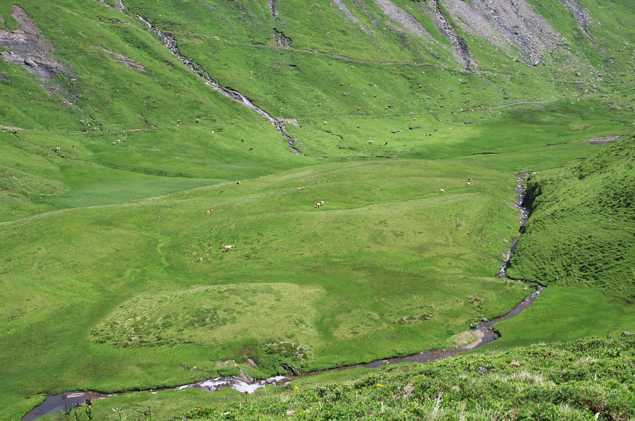 IMGP0291.jpg(488700 byte)