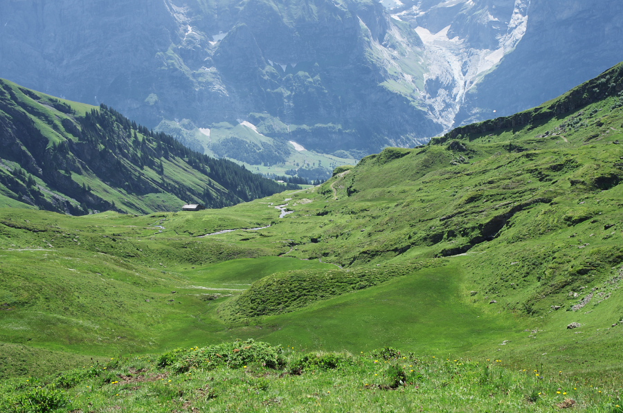 IMGP0293.jpg(463621 byte)