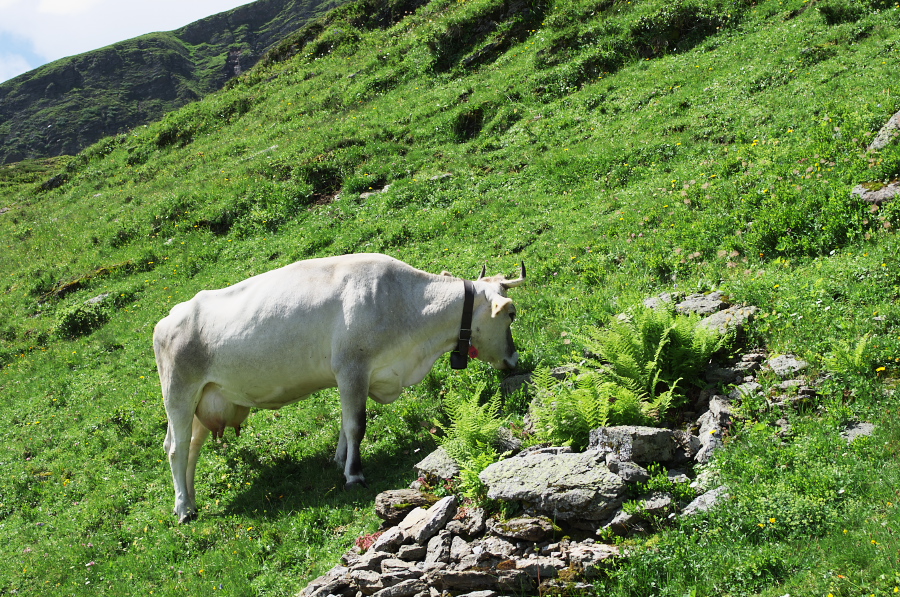 IMGP0302.jpg(651658 byte)