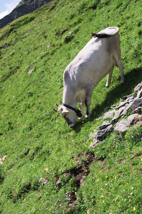 IMGP0305.jpg(653024 byte)