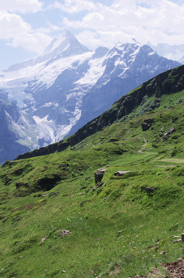 IMGP0307.jpg(444429 byte)