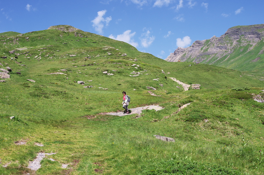 IMGP0311.jpg(459677 byte)