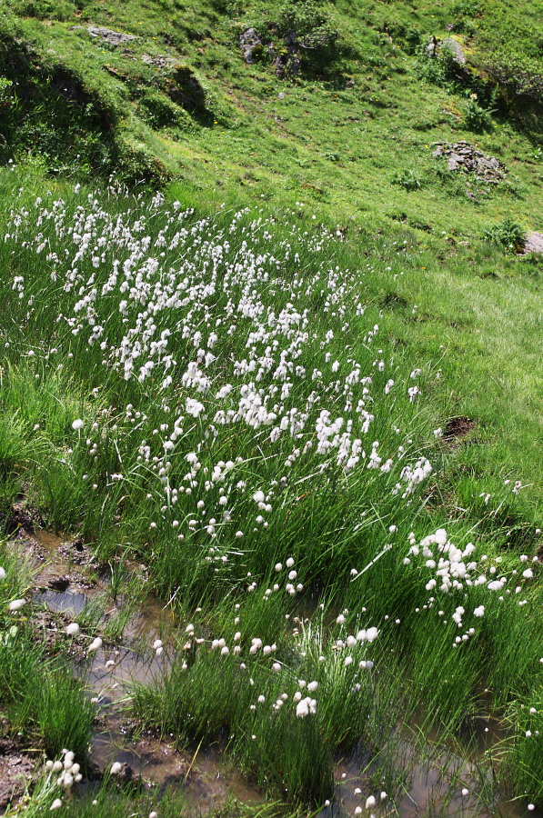 IMGP0314.jpg(658277 byte)