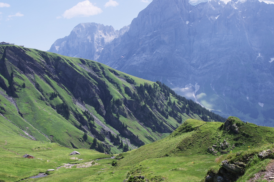 IMGP0316.jpg(382010 byte)