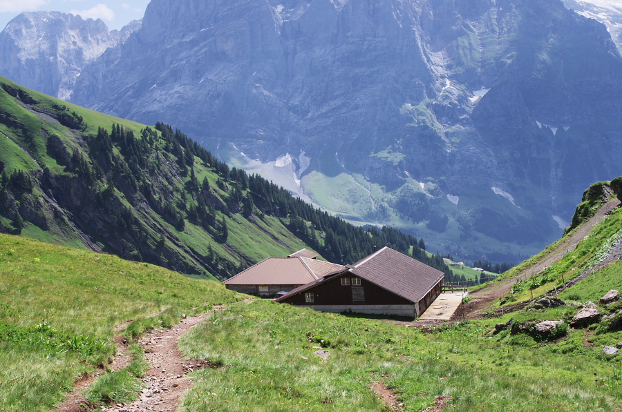 IMGP0324.jpg(433612 byte)