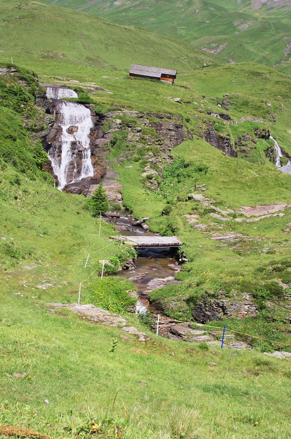 IMGP0330.jpg(555665 byte)