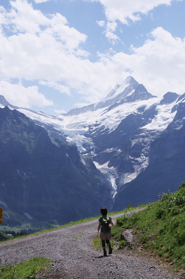 IMGP0332.jpg(322882 byte)