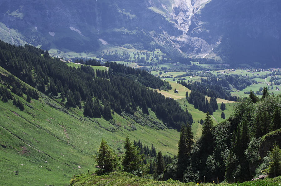 IMGP0334.jpg(418493 byte)