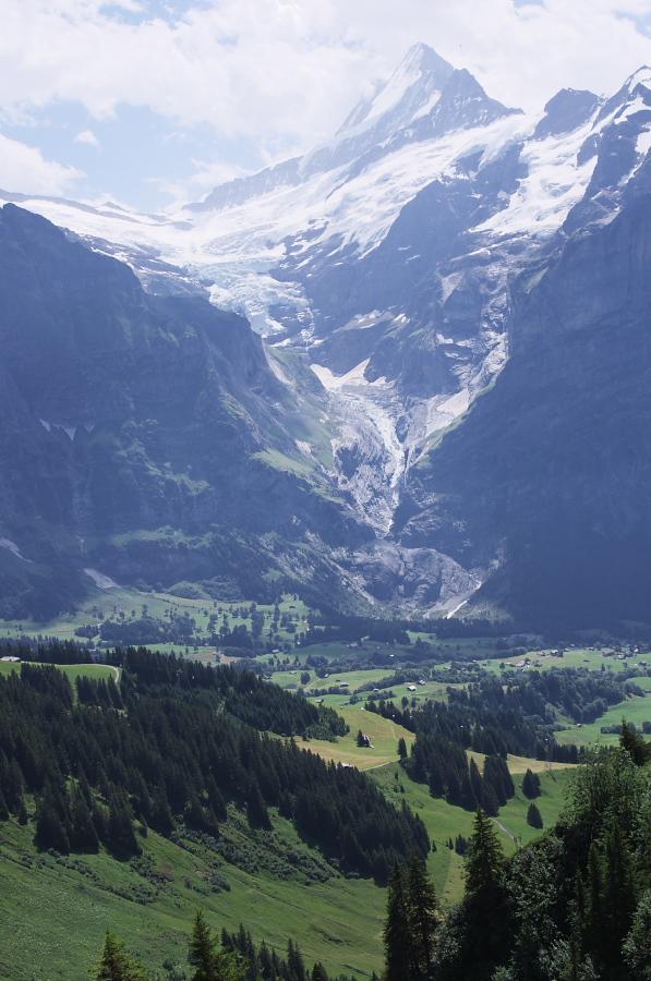 IMGP0336.jpg(319216 byte)