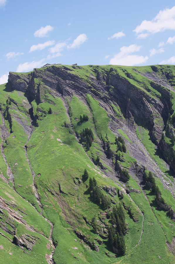 IMGP0344.jpg(429539 byte)