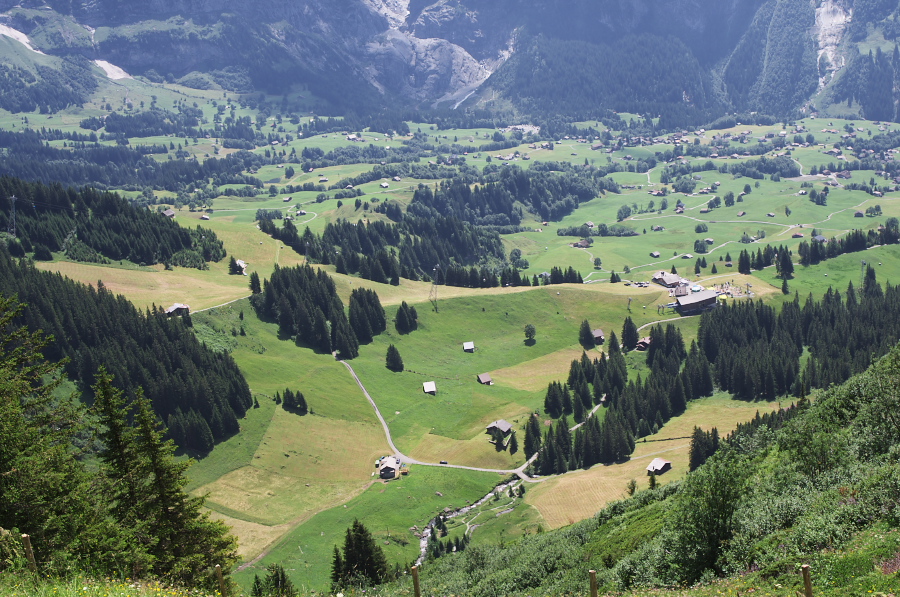 IMGP0347.jpg(472026 byte)