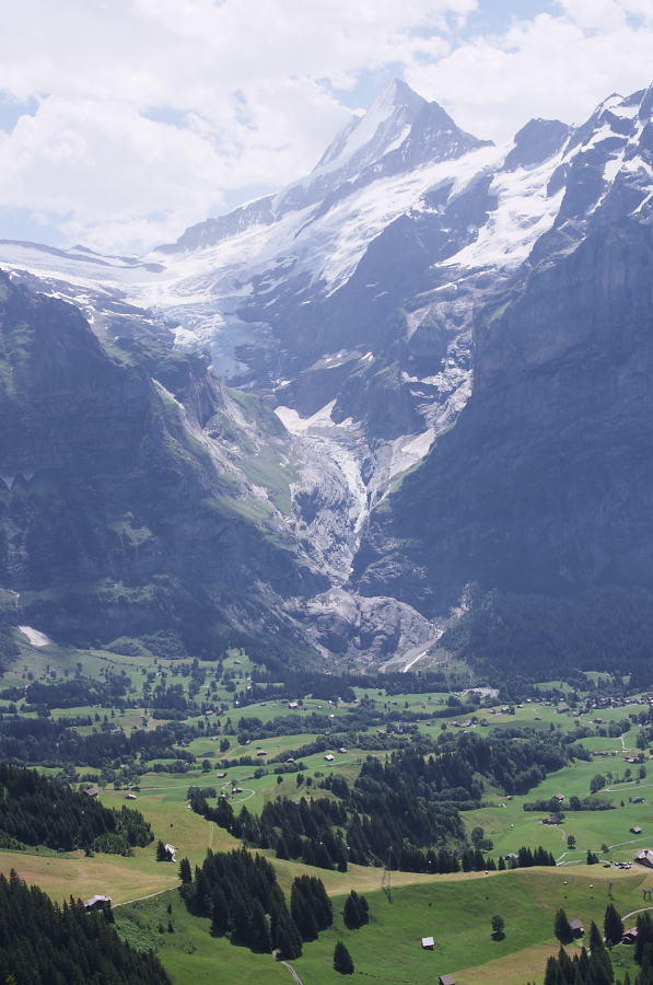 IMGP0353.jpg(319770 byte)