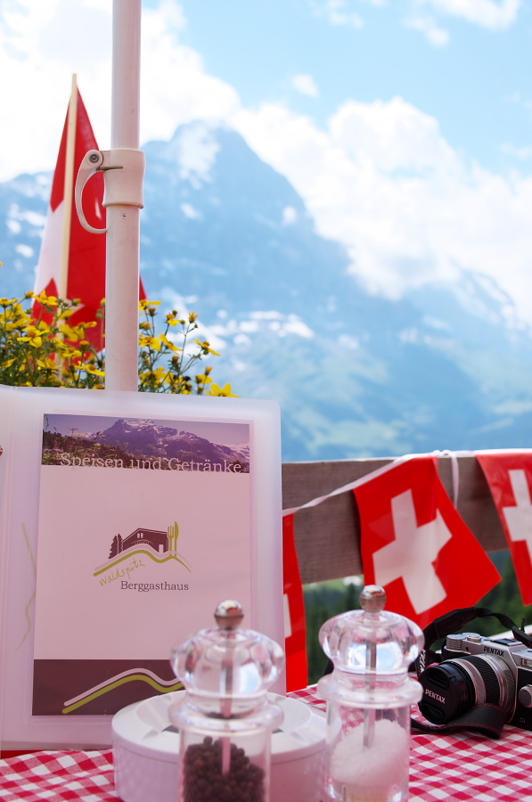 IMGP0426.jpg(226560 byte)