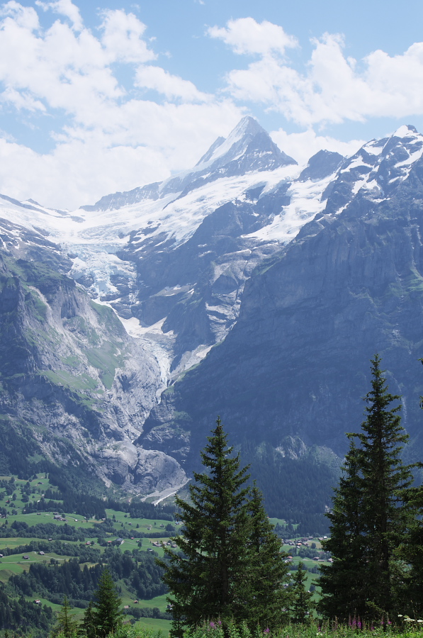 IMGP0432.jpg(352506 byte)