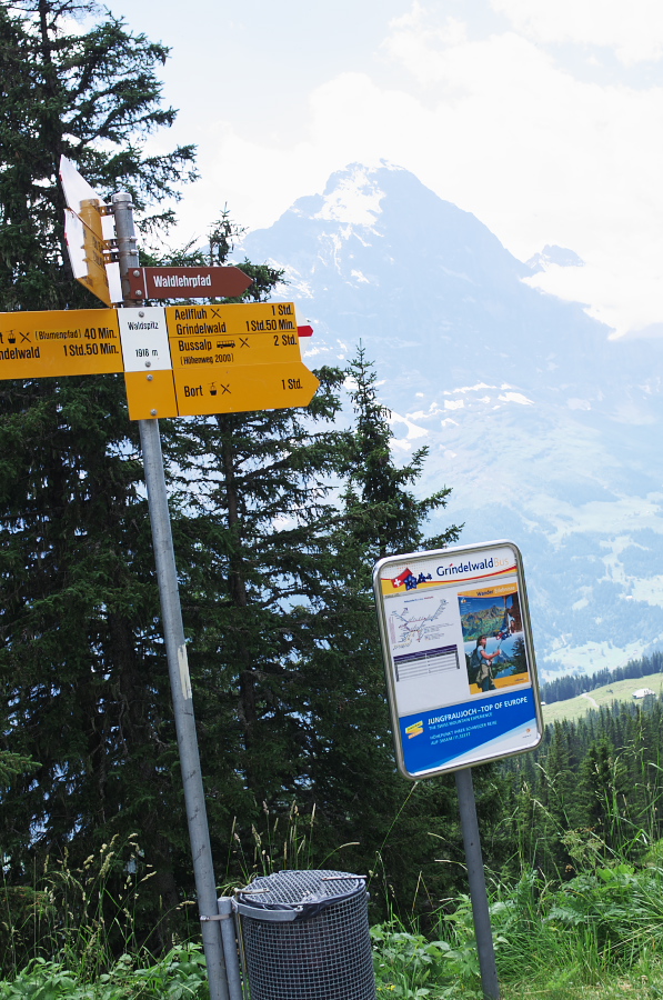 IMGP0451.jpg(426513 byte)