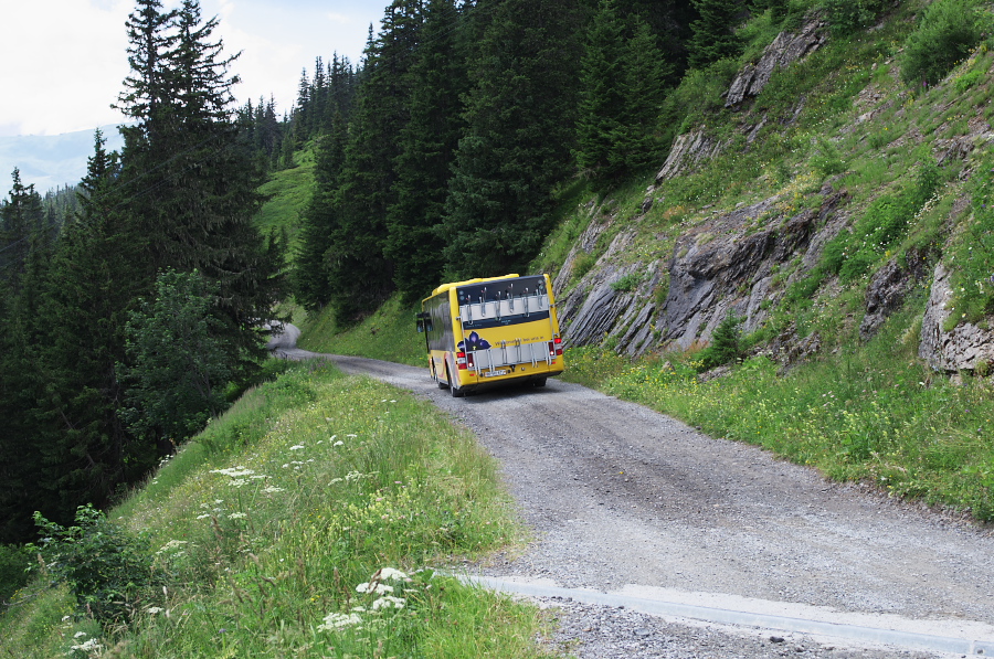 IMGP0455.jpg(510249 byte)