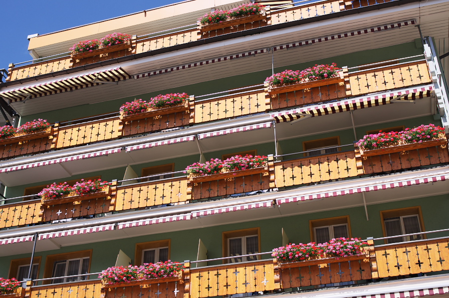 IMGP0458.jpg(476275 byte)