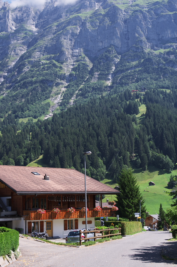 IMGP0473.jpg(447407 byte)