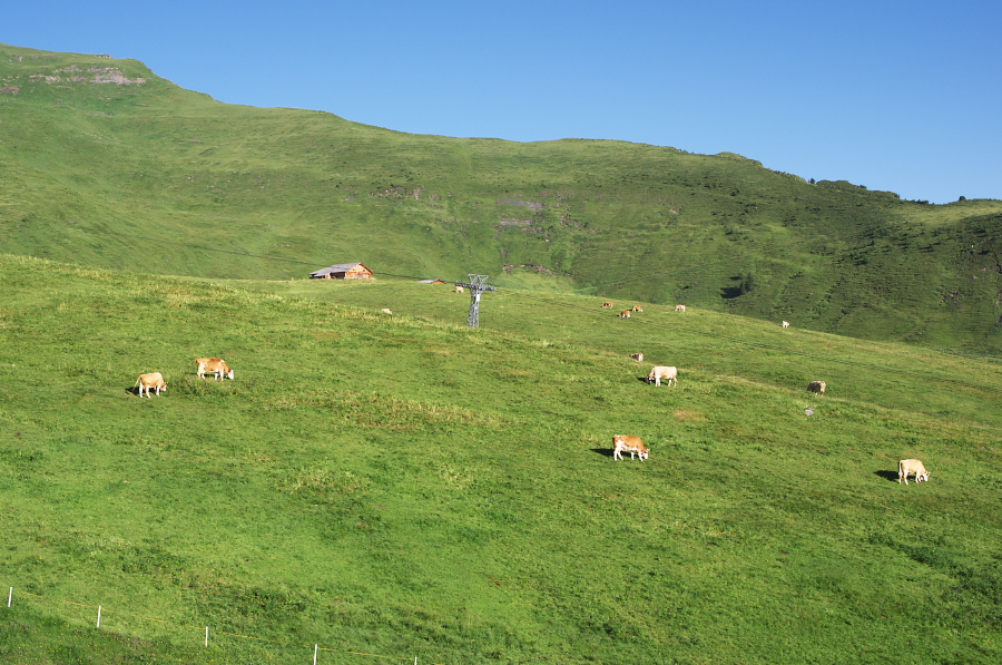 IMGP0934.jpg(409823 byte)