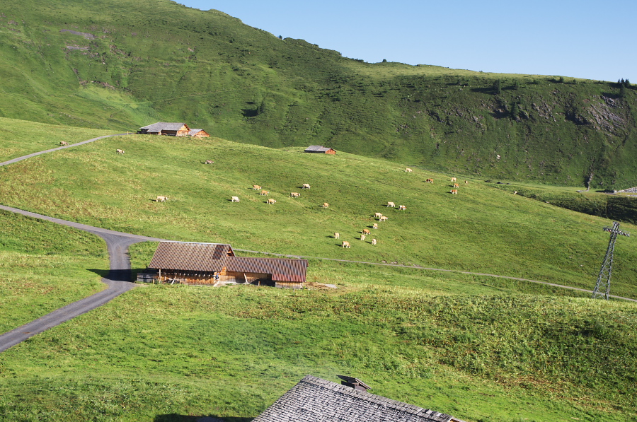 IMGP0937.jpg(493953 byte)