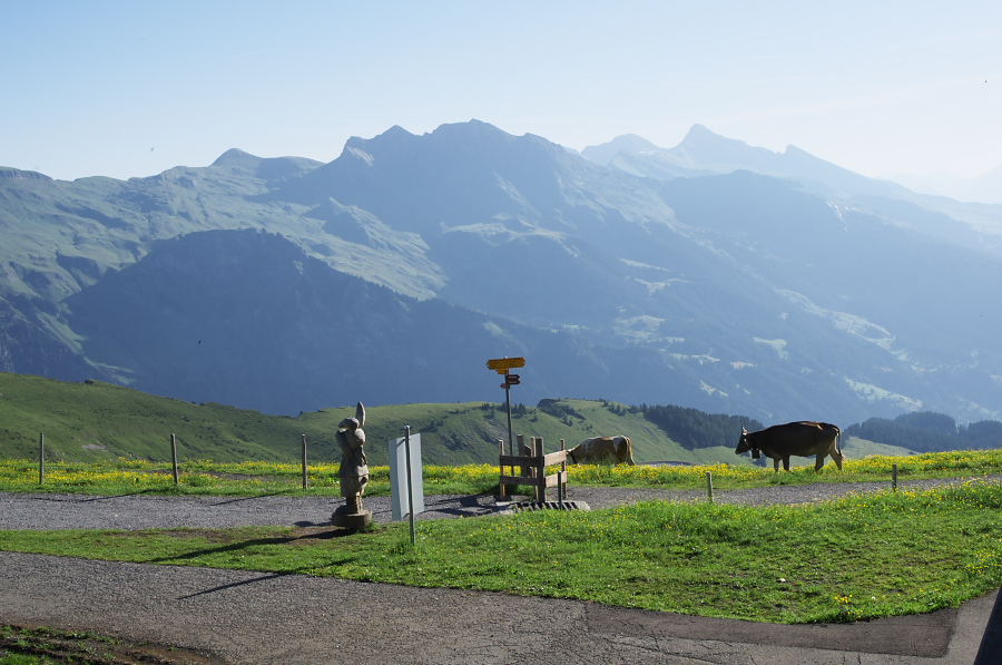 IMGP0945.jpg(298569 byte)