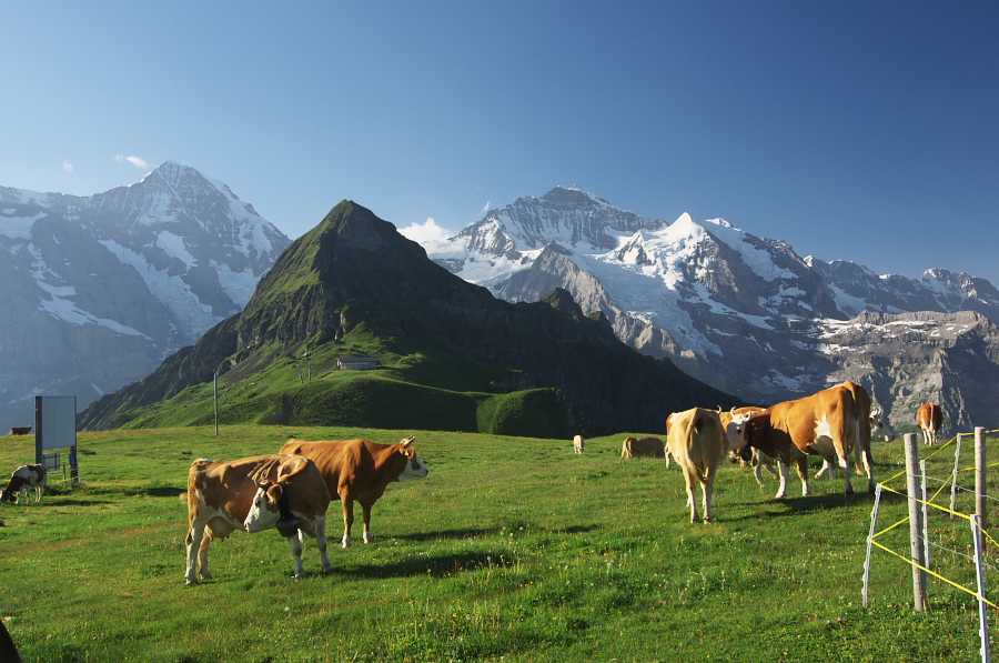 IMGP0959.jpg(355487 byte)