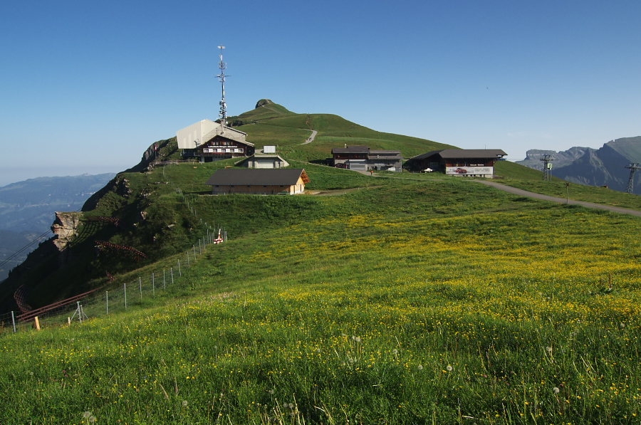 IMGP0968.jpg(415013 byte)