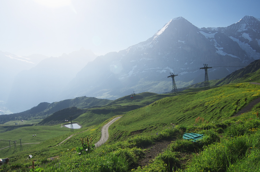 IMGP0973.jpg(304192 byte)