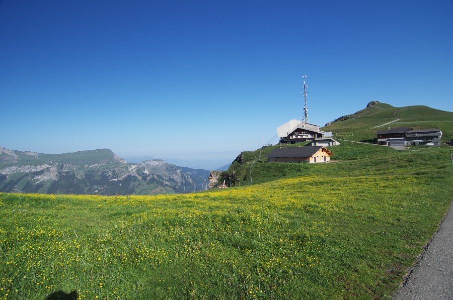 IMGP0977.jpg(373075 byte)